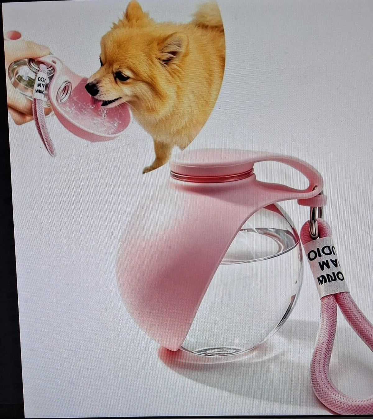 2-in-1 Portable Dog Water Bottle with Foldable Bowl