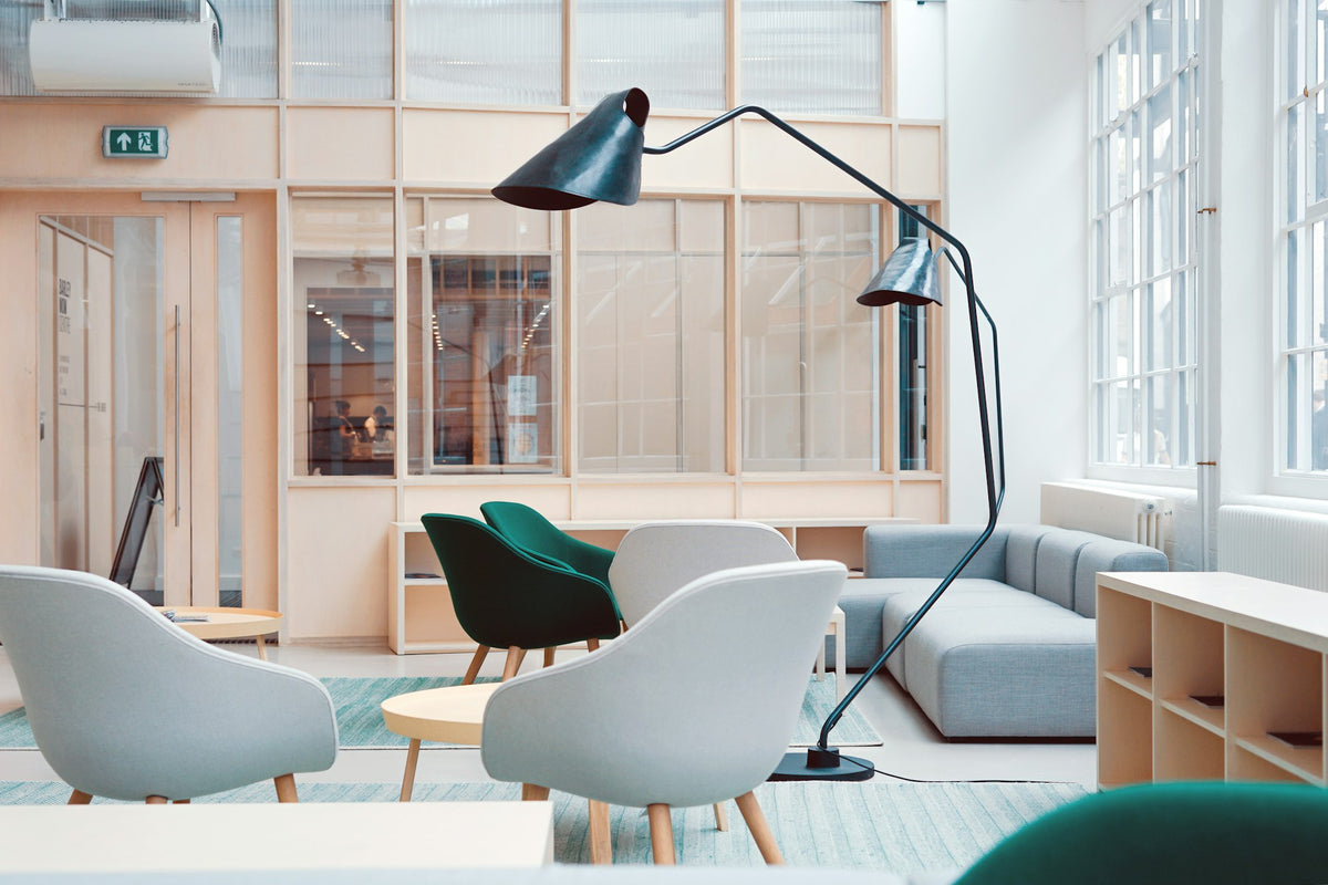 Sunlit interior with greenery