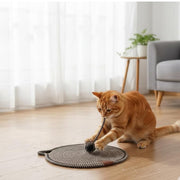 Cat Scratcher Mat