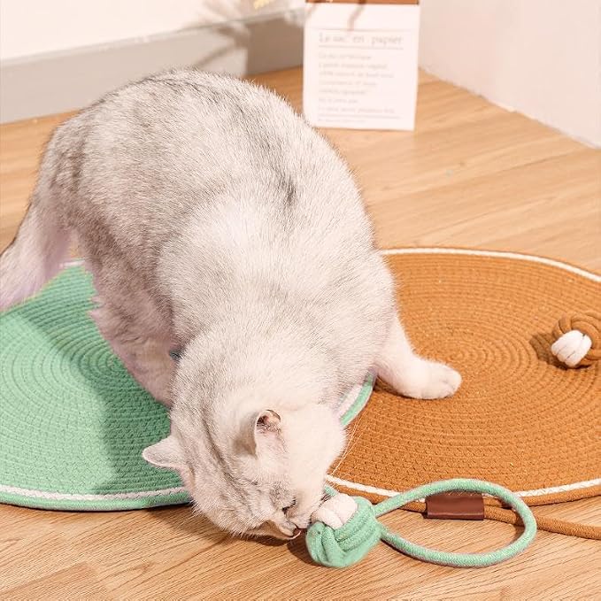 Cat Scratcher Mat