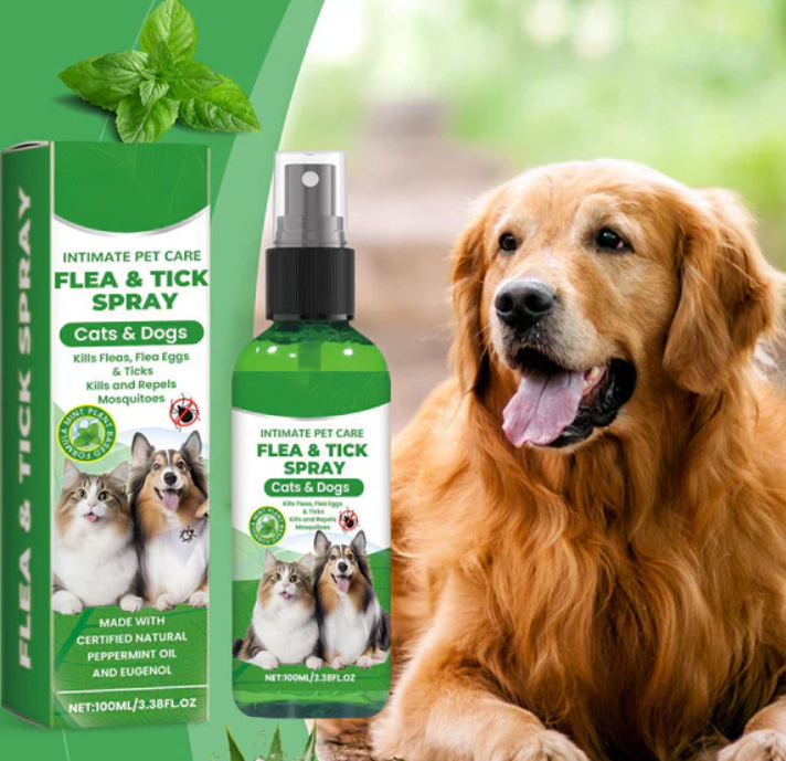 Flea & Tick spray for dog(Pack of 3)